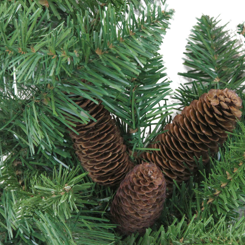 Guirlande Dakota Red Pine, H 12 po x l 12 po x P 108 po, 240