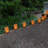 Plastic Luminaria Lanterns - 100 Count-27775481