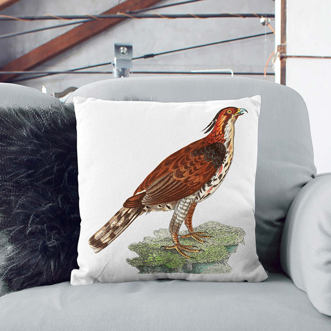 Falcon by George Shaw Cushion with Filling