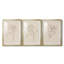 " Floral Contour Study I " 3 - Pieces Painting Print-224453418-224453417-224407728