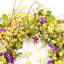 26" Artificial Farmhouse Twig Blossoms Cluster Greenery Mini Eucalyptus Wildflower Pansy Spring Summer Wreath For Front Door
