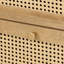 Anisjon & Rattan 2 Drawer Bedside Table-1317511179