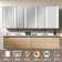 Carowyn 80 Inch Lighted Medicine Cabinet with Mirror Adjustable Shelves Surface Mount Frameless and LED Lighting