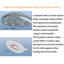 Massage/Jet Handheld Shower Head 2.5 GPM GPM