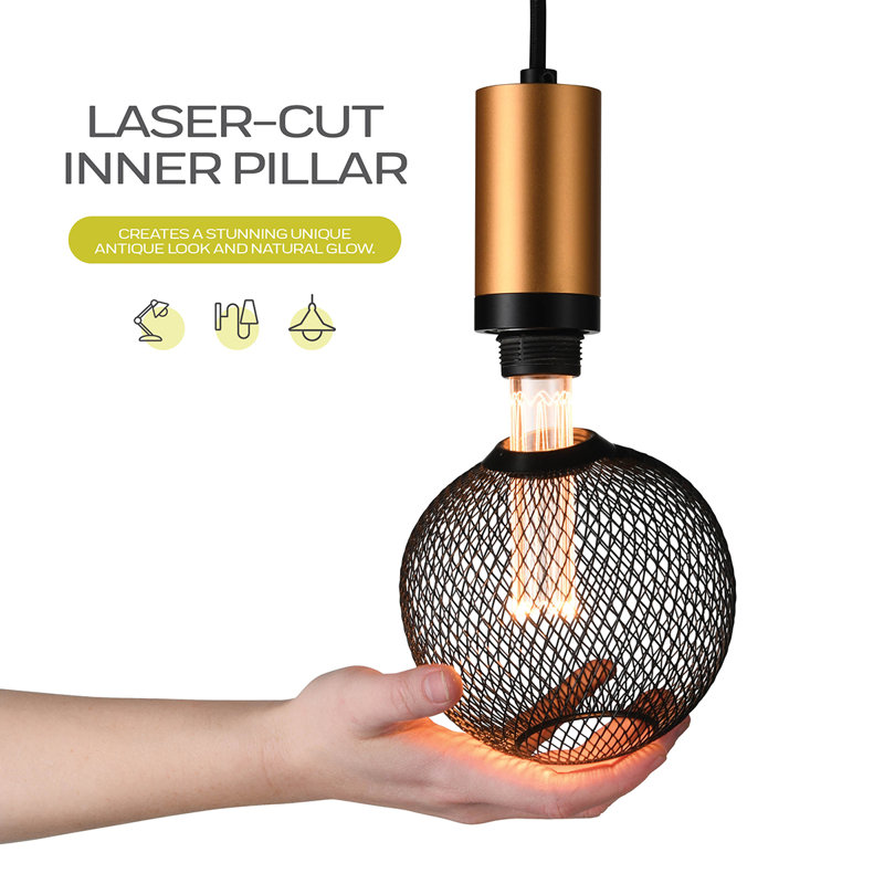 Warm Black Globe LED Bulb with Metal Cage