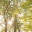 Paz IV Print by Karyn Millet-50631893-50631897