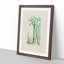 Cactus Illustration - Picture Frame Painting Print-55620958-55620956