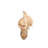 Murex Seashell LED Night Light