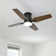Jonas 40'' Ceiling Fan with LED Light and Remote Control