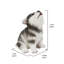 Chiot Malamute d'Alaska