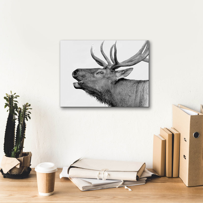 «Deer» par PhotoINC Studio, H 12 po x l 16 po x P 0,75 po