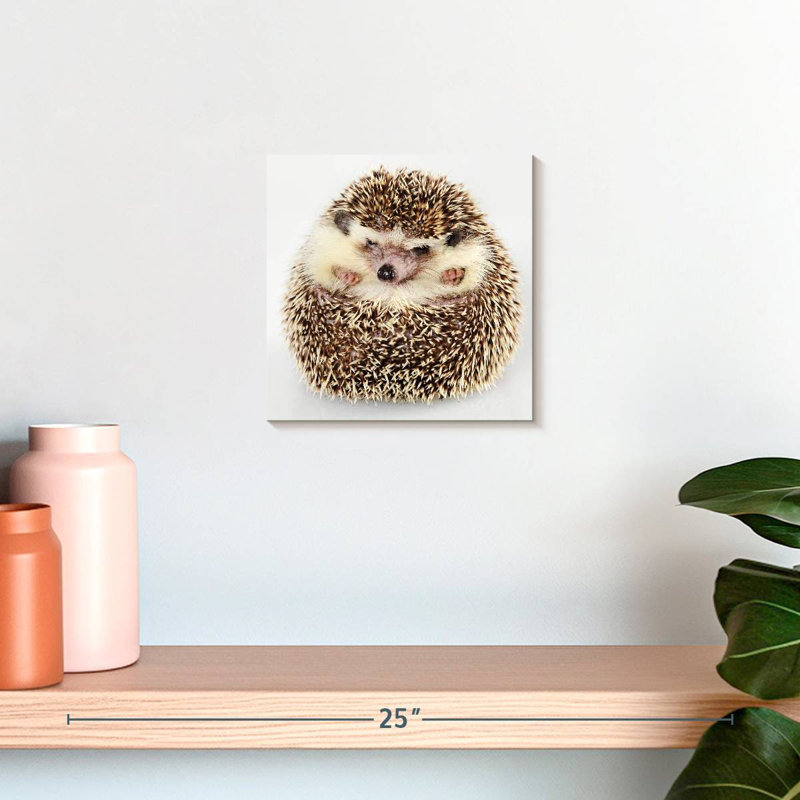 Crowle Curled Up Hedgehog, 10" H x 10" W