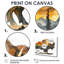 Marlania I - Animals Large Wall Art-1963634926-1963634927-1963634914