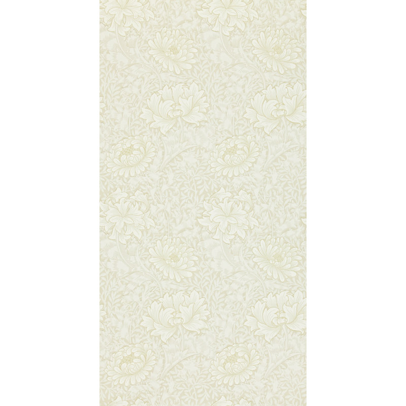 Chrysanthemum Wallpaper, Chalk