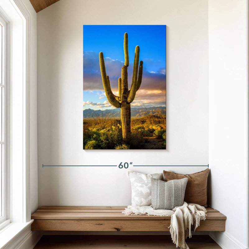 Parc national Harnek Saguaro Est III, H 45 po x l 30 po