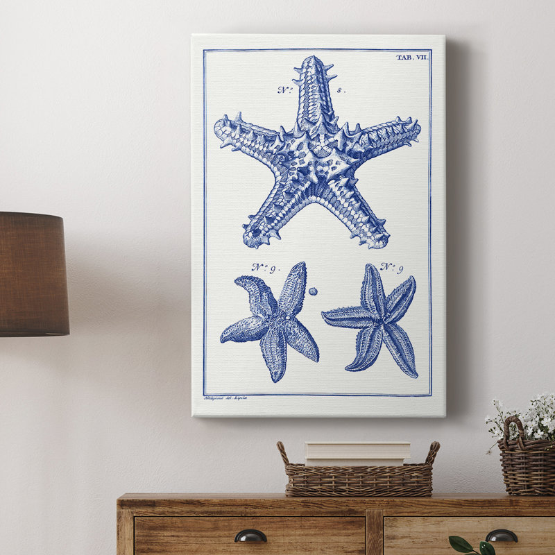Étoiles de mer bleues - Cavas enveloppés de galerie, H 36 po x l 24 po