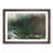 Walnut Framed