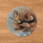 Panneau mural rond décoratif en bois « Prise d'envol » de 53 cm (21 pouces).