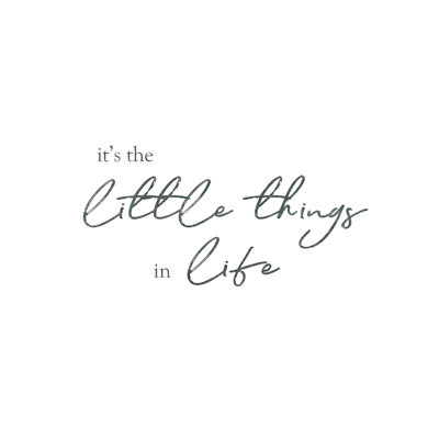 " The Little Things "