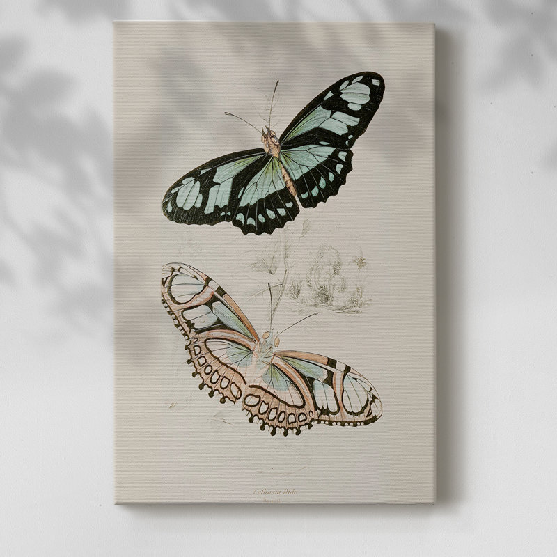 Imprimé animalier rétro «L» - Cavas, H 18 po x l 12 po