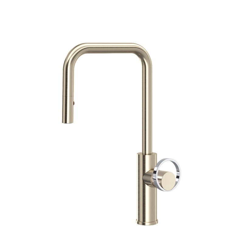 Eclissi™ Pull-Down Single Handle Kitchen Faucet With Accessories, Satin Nickel/Polished Chrome
