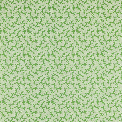 ZorI Fabric