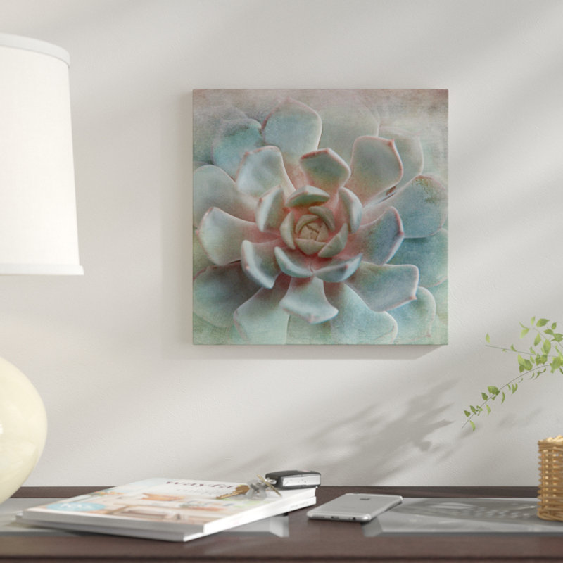 « pastel succulent ii », impression sur toile, H 26 po x l 26 po x P 1,5 po, Toile tendue, Pas de tapis