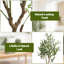 180 cm H Faux Plant