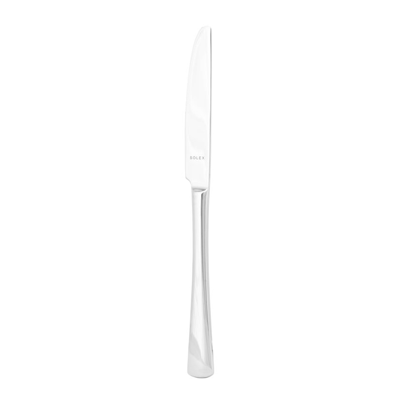 Karina Street Solid Handle Dinner Knife