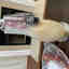 Photos des clients 4 de 6
