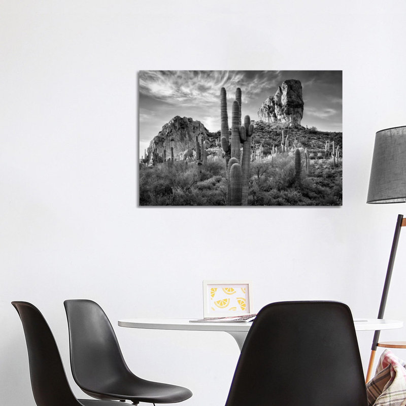 Desert View I by David Drost - Wrapped Canvas Print, 101.6 cm H x 66.04 cm W x 3.175 cm D