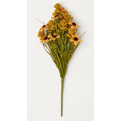 Daisy d'automne 17 po