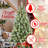 Starwyn Rustic Full-Bodied Christmas Tree With Mixed Tips And Warm White LED Lights