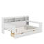 Lit de jour double avec tablettes, tiroirs et bureau d'étude-1626594757