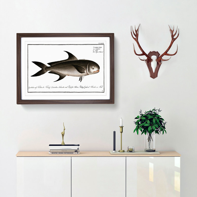 Black Mackerel Fish by M.E. Bloch - Picture Frame Graphic Art Print, 36cm H x 48cm W x 2cm D, Walnut Framed