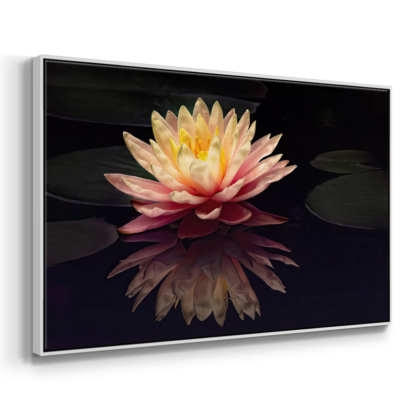 Photographie, étude, nénuphar encadré sur toile, H 27 po x l 41 po x P 2 po, Blanc