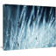 «Wet Grass Black and White», reproduction de photo sur toile tendue-19409044