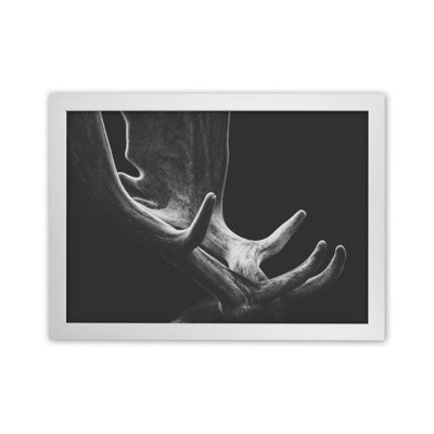 Antlers by Victoria Frost - Print