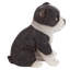 Statue Boston Terrier chiot partenaire