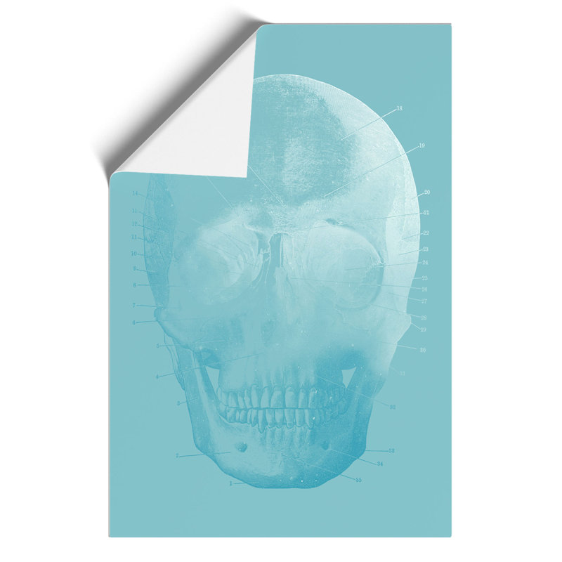 Blue Twilight Skull - Frameless Print, 42cm H x 30cm W x 0.1cm D