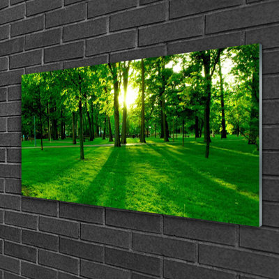 Nature Forest - No Frame Print on Glass