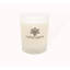 Fig Tree Sap Scented Jar Candle