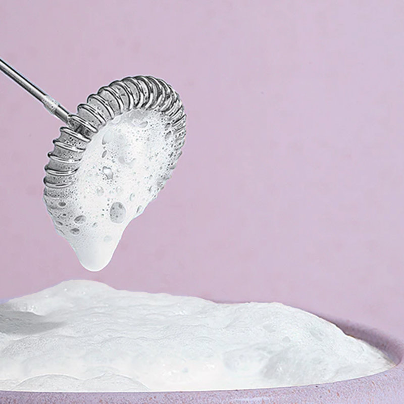 Black Handheld Milk Frother with Stainless Steel Whisk