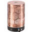 Diffuseur d'arôme ultrasonique Array