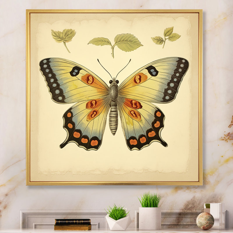 Illustration rétro d'un papillon élégant, H 36 po x l 36 po x P 1,5 po, Cadre flottant doré