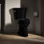 Highlineelongated Toilet Bowl-621448917