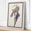 Iris in Bloom Botanical 1 Piece Wrapped Canvas Wall Art-688711872-688711887