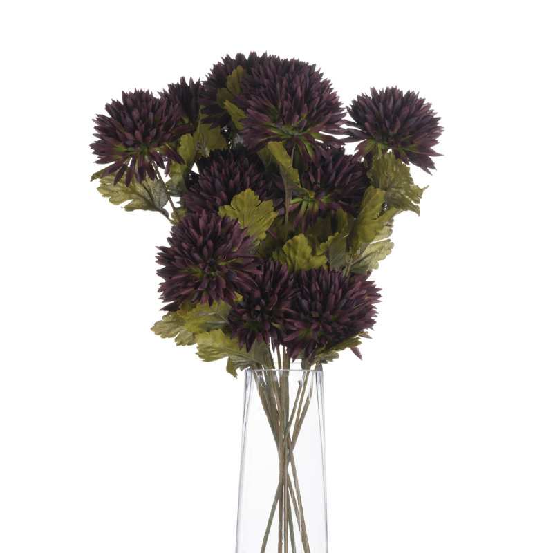 Anastasija Arrangement