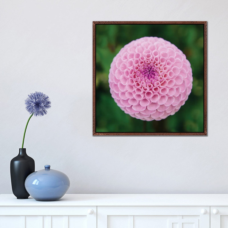Flamingo Squared by Albert Koetsier - Gallery-Wrapped Canvas Giclée on Canvas, Classic Wood Framed