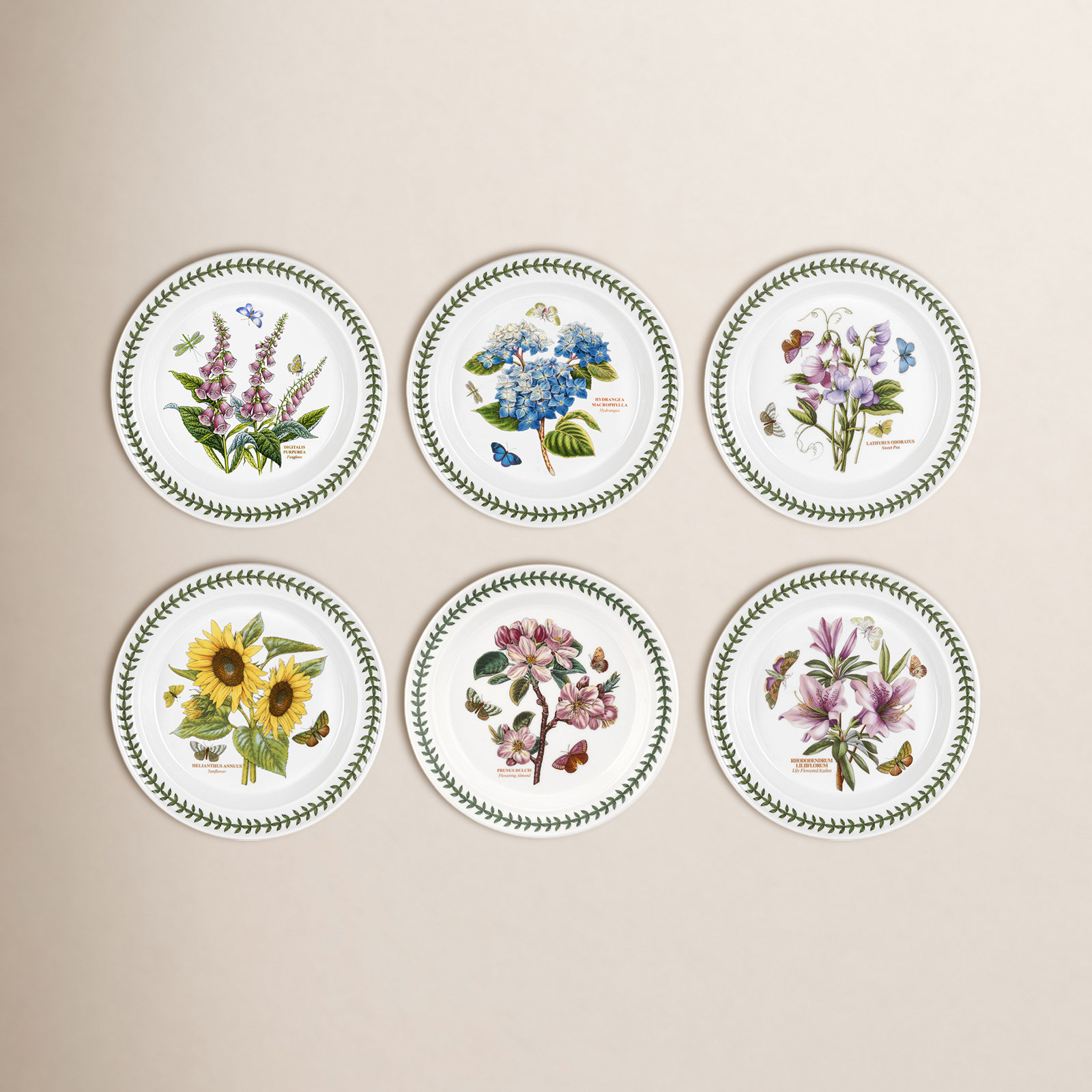 Portmeirion Botanic Garden 11" Dinner Plate